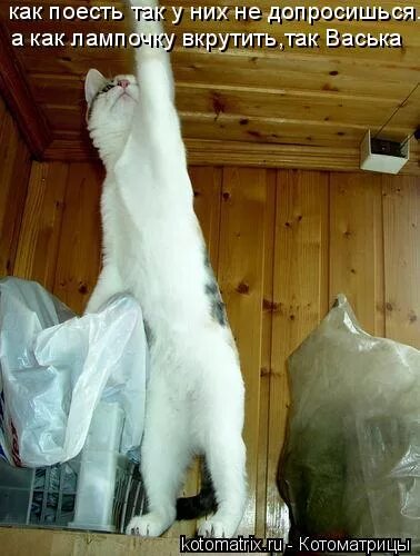 искать найти и перепрятать. николай фоменко выражения. найти и перепрятать. бороться и искать найти и перепрятать картинки. бороться и искать найти и перепрятать.