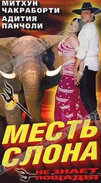 мести слон. митхун чакраборти месть слона. месть слона. месть слона. мести слон.