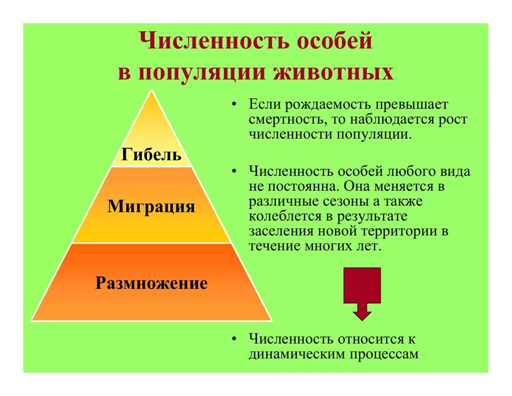 Численность особей равна. Численность особей. Количество особей в популяции. Избыточная численность потомства. Число особей появившихся в популяции.