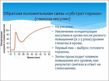 Концентрация гормон