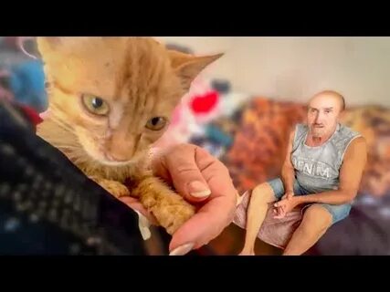 Живи степка живи дзен