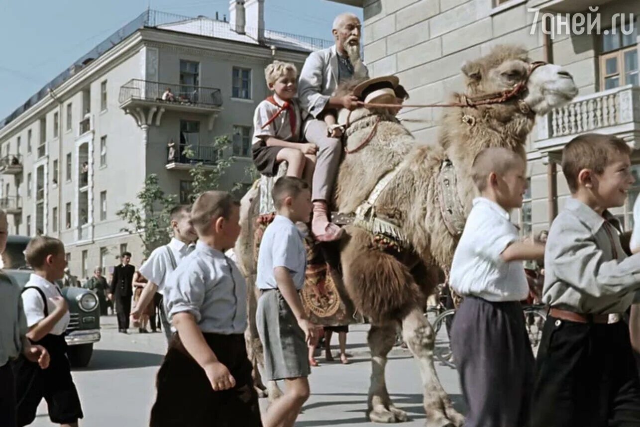 Волька полное. Старик Хоттабыч 1956. Старик Хоттабыч и Волька.