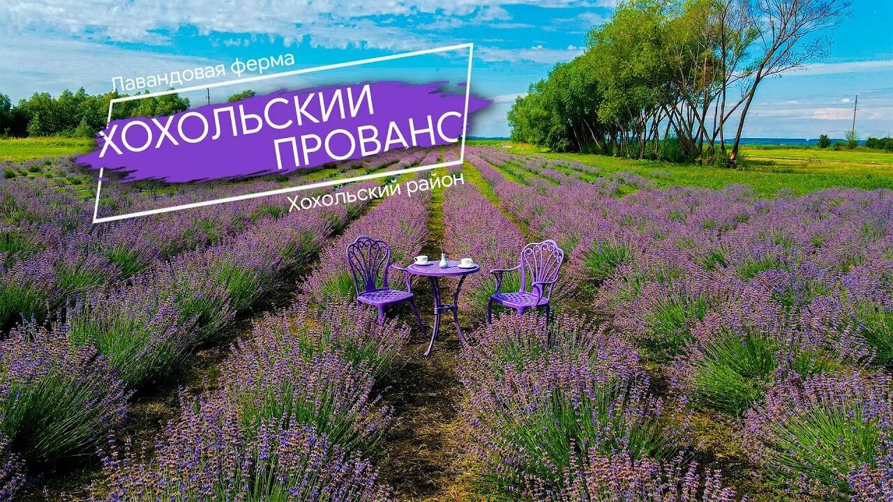 лавандовое лето солнечная ул 26 село кочетовка. хутор семигорский лавандовые поля. лавандовое лето солнечная ул 26 село кочетовка. лавандовое лето солнечная ул 26 село кочетовка. лавандовое поле воронеж.