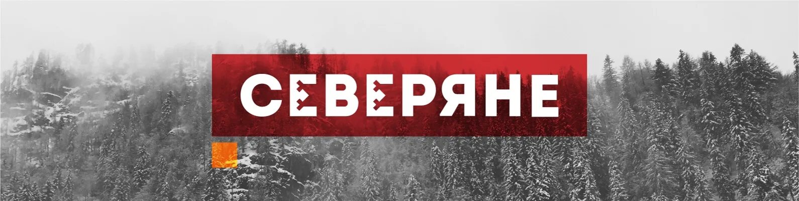 Северяне жизнь героя. Мария залесская молодая гвардия. Сторожев евгений евгеньевич тарко-сале. Северяне ресторан логотип. Военный связист.