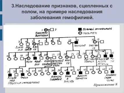 Наследование 3 к 1