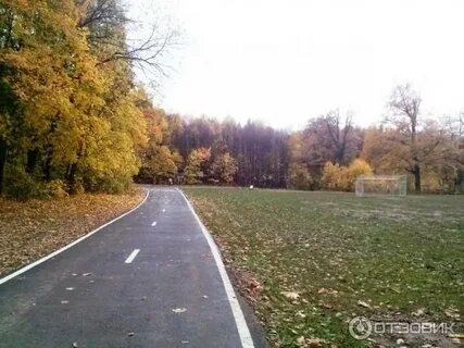 Уфимские липы
