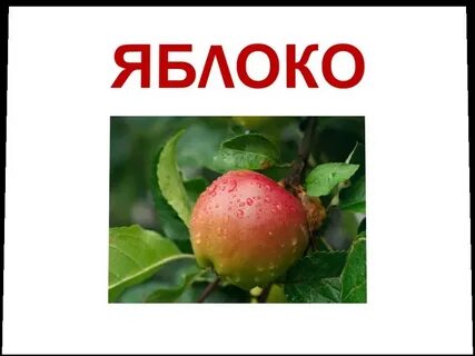 Слова яблоня яблоко