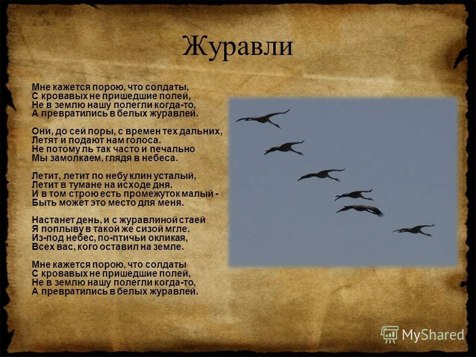 солдаты превращаются в журавлей. не пришедшие с полей. не пришедшие с полей. журавли текст. день белых журавлей.