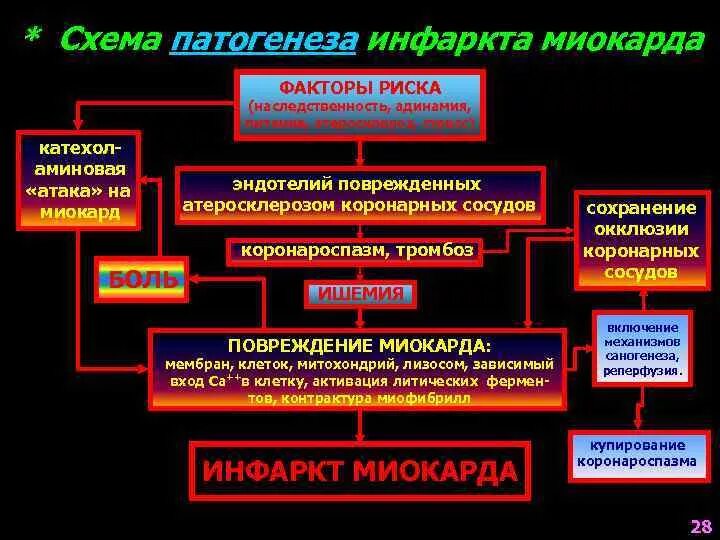 Механизм развития острого инфаркта миокарда. Патогенез острого инфаркта миокарда. Механизм развития инфаркта миокарда патофизиология. Патогенез инфаркта миокарда схема. Механизмы развития ишемии