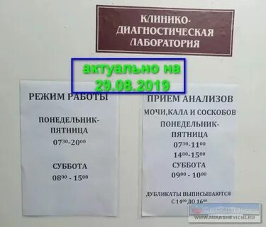График работы лаборатории в поликлинике