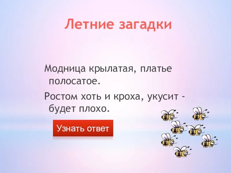 Найди загадки дня. Найди загадки. алиса найди загадки. алиса загадки. загадки алиса найди загадки.