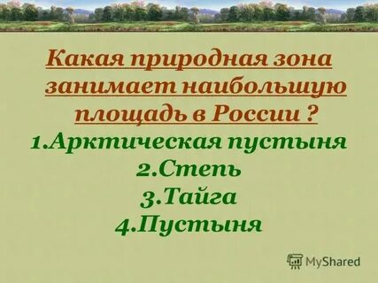 Самую большую территорию занимает зона