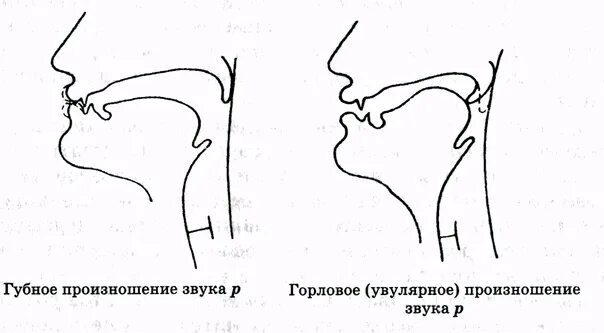 Горловая р у ребенка. Горловое произношение звука р. Произношение звуков. Логопедические профили артикуляции. Горловой звук р.