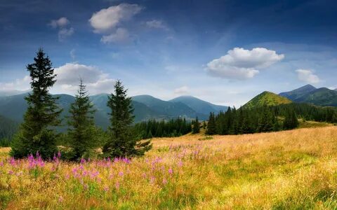 Природа картинки простое