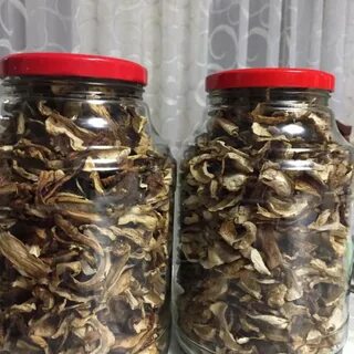Сколько хранятся грибы закрытые в банки