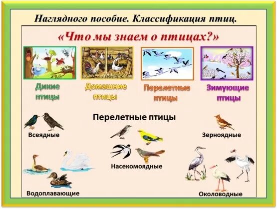 Тематическое планирование тема зимующие птицы старшая группа. Детям о перелетных птицах в подготовительной группе. тема недели перелетные птицы. тематическая неделя птицы в старшей группе. перелетные птицы для детей средней группы.