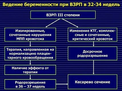 Стадии плода при беременности