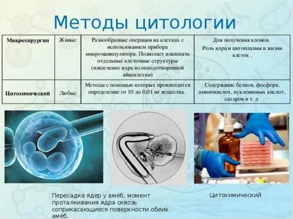 Какие методы используются для исследования клетки. Методы изучения клеток биология 10 класс. Методы изучения цитологии в биологии 10 класс. Методы изучения клетки таблица биология. Методы биологических исследований клетки.