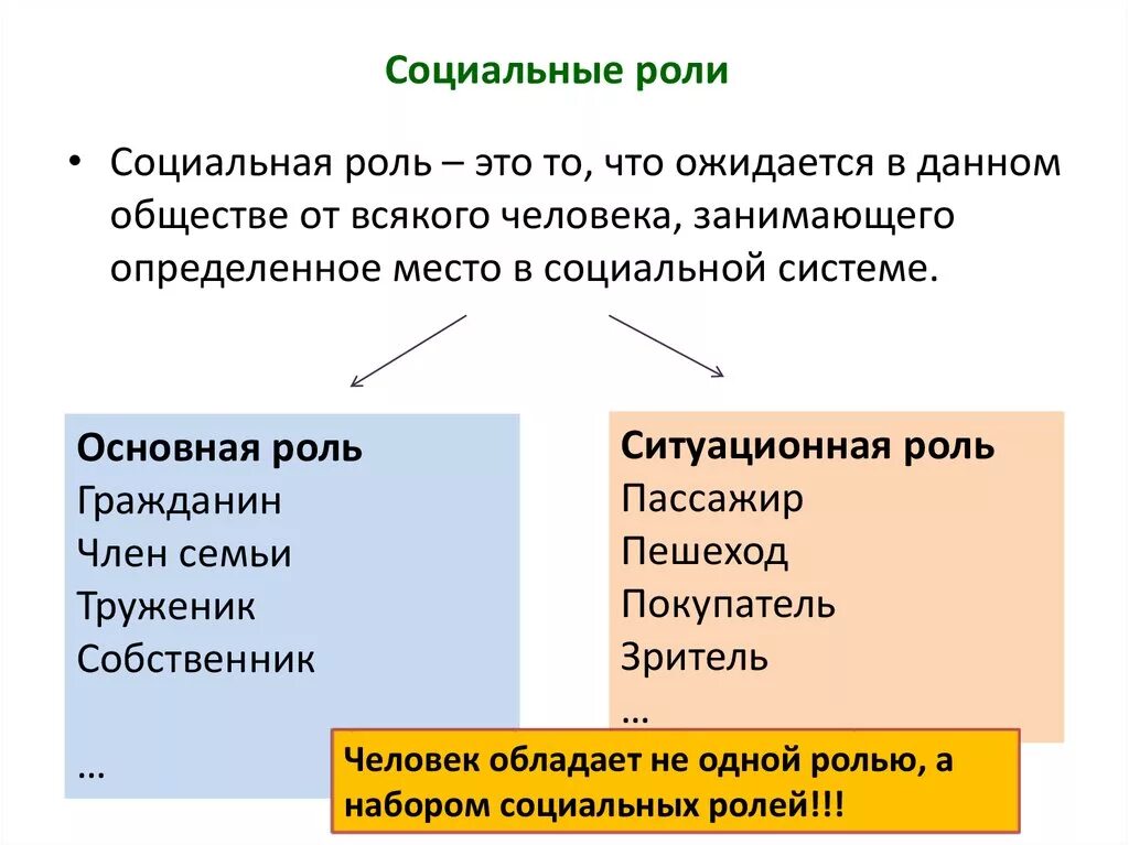 Социальная роль человека обществознание