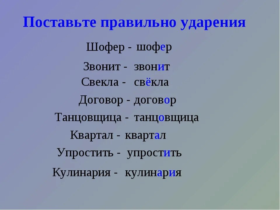 Ударение в слове цемент как правильно. Шофер ударение. Свекла или свёкла ударение. Свекла ударение ударение. Свекла шофер ударение.