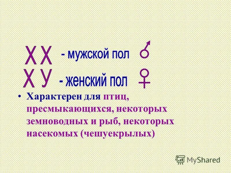 Чем различаются половые хромосомы мужчины и женщины?. Парные одинаковые хромосомы