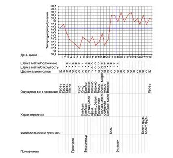 Циклы планирования беременности