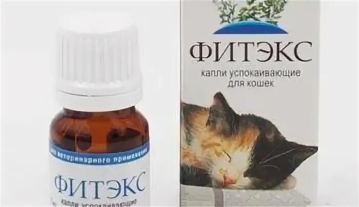Успокоительные для кошки во время течки