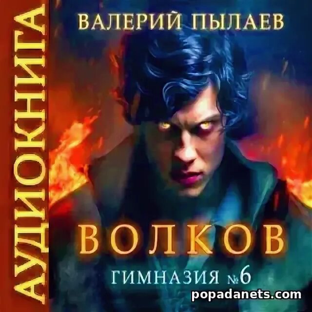 Волков гимназия 6 читать полностью