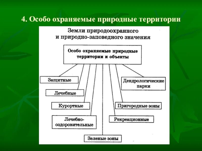 Таблица охраняемые территории россии. Категории ООПТ схема. Особо охраняемые природные территории. Схема ООПТ России. Виды особо охраняемых природных территорий.