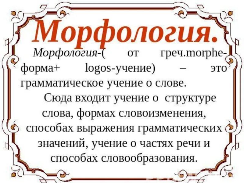 Морфология. Морфология это в русском языке. Понятие о морфологии. Морфология по русскому языку.