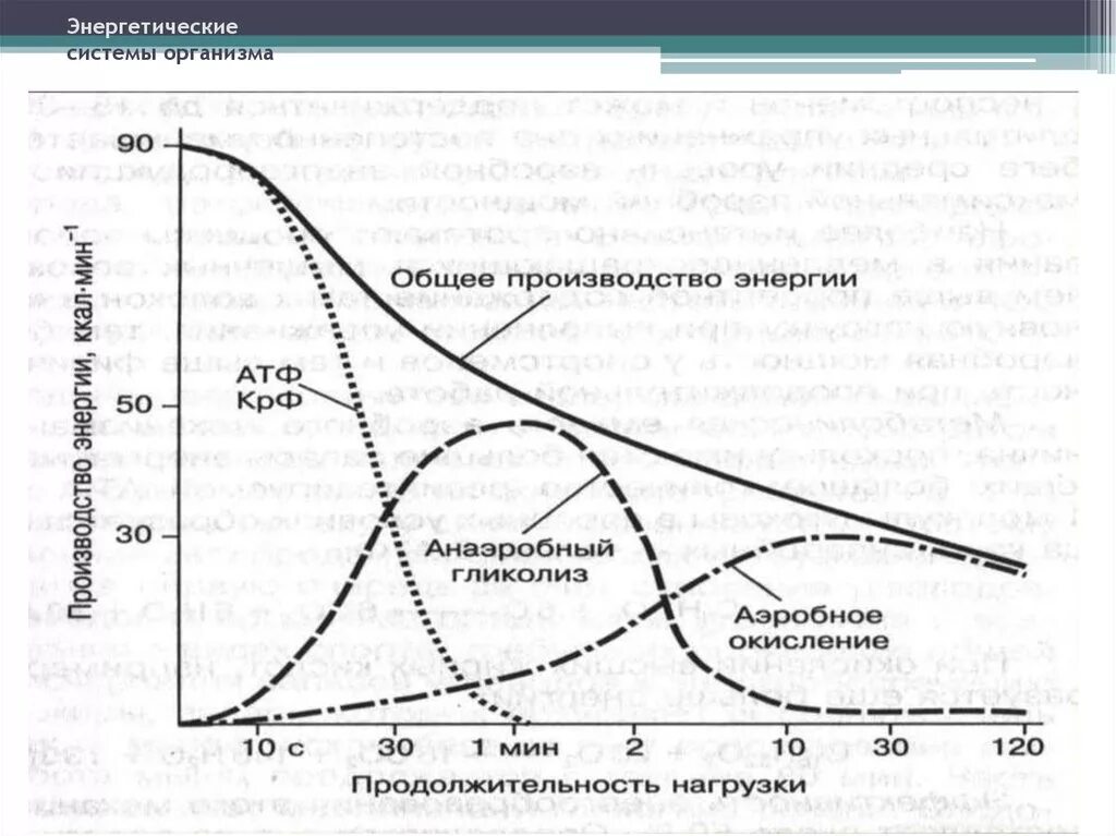 Максимальная мощность упражнения. Энергетические системы организма. Схема энергообеспечения мышц. Анаэробный механизм энергообеспечения. Механизмы энергообеспечения при мышечной работе.