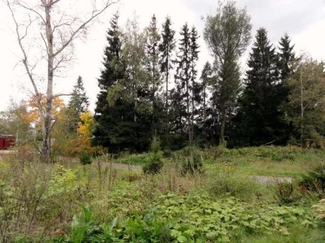 Село алабушево фото. Алабушево (московская область). Лермонтова. Алабушево (московская область). Участок алабушево.