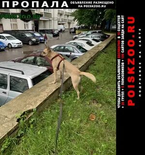 Трогающие 3