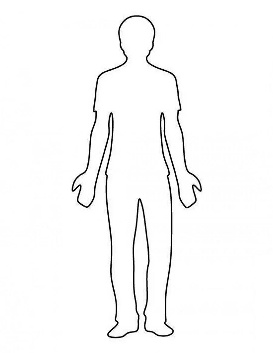 Человек для детей распечатать. Контур тела человека. Очертание человека. Фигура человека контур. Силуэт тела человека.