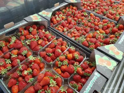 Продам клубнику свежую