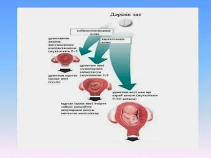 кискадағы талшық