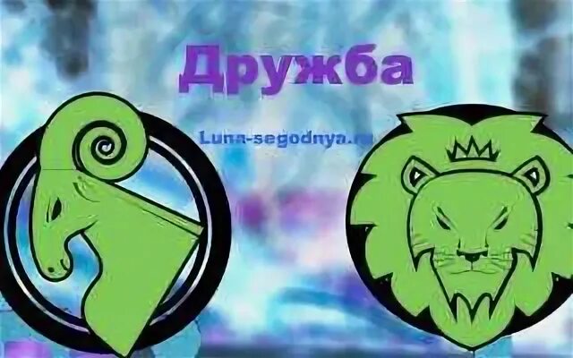 Знак зодиака лев. Знак зодиака лев и овен. Овен и лев совместимость. Лев и близнецы. Овен и лев дружба.