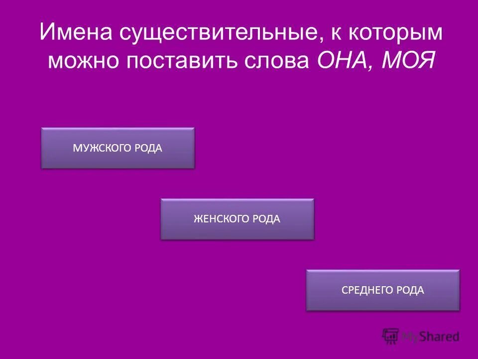 Контрольная работа род имен существительных. Тест род имен существительных. Тест на тему род имен существительных. Существительные к слову высокий. Род сущ. Сущ. Общего рода..