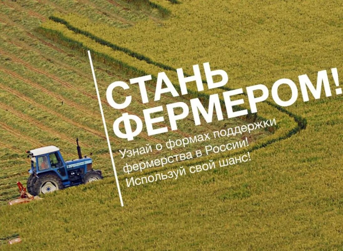 Программа кфх