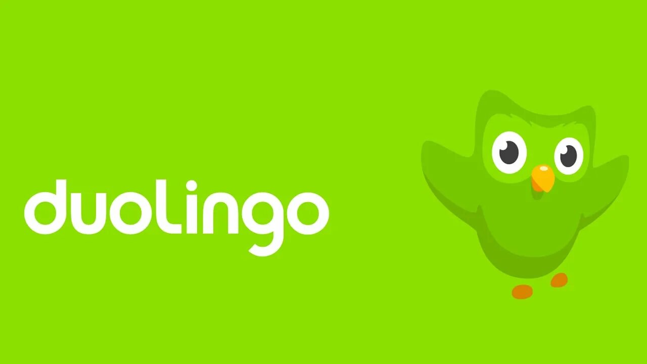 Логотип дуолинго. Дуолинго. дуолинго логотип. duolingo английский. дуолинго приложение.