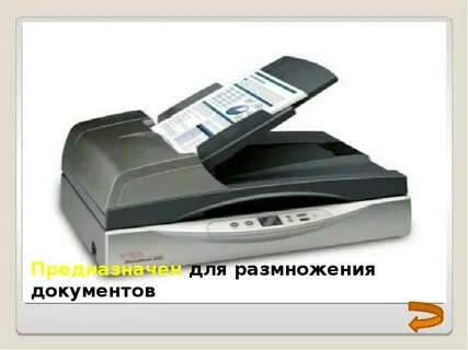 И копии внутреннего и