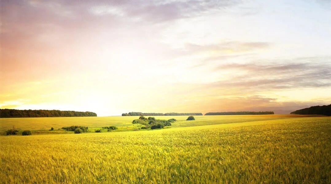 Raw land. Land for photoshop. Равнина. Land plot icon. Raw land.