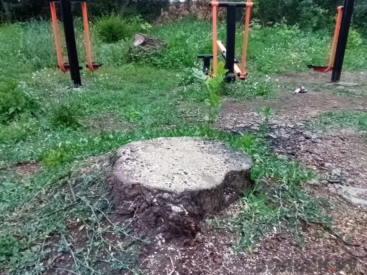 Среди устанавливало