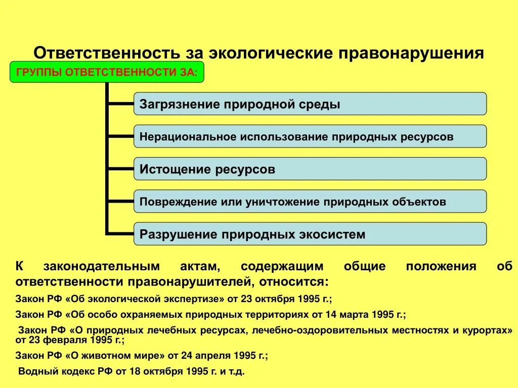 Экологическое право виды правонарушений. Ответственность за экологические правонарушения. Ответственность за экологические проступки. Экологическая ответственность за экологические правонарушения. Ответственность по экологическому праву.