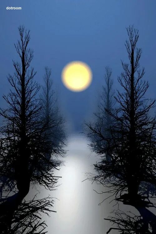 Живая Луна. Седая ночь. Пейзаж с луной фото. Месячная ночь. Луна живая природа