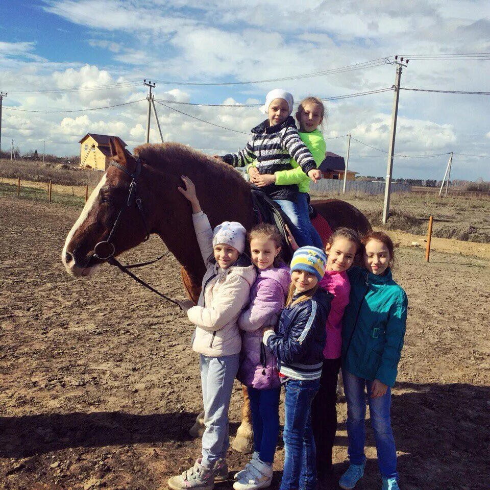 Конный клуб аллегро тюмень. Кск аллегро тюмень. Кск аллегро тюмень конюшня. Нижняя тавда конный спорт. Бобров тюмень.