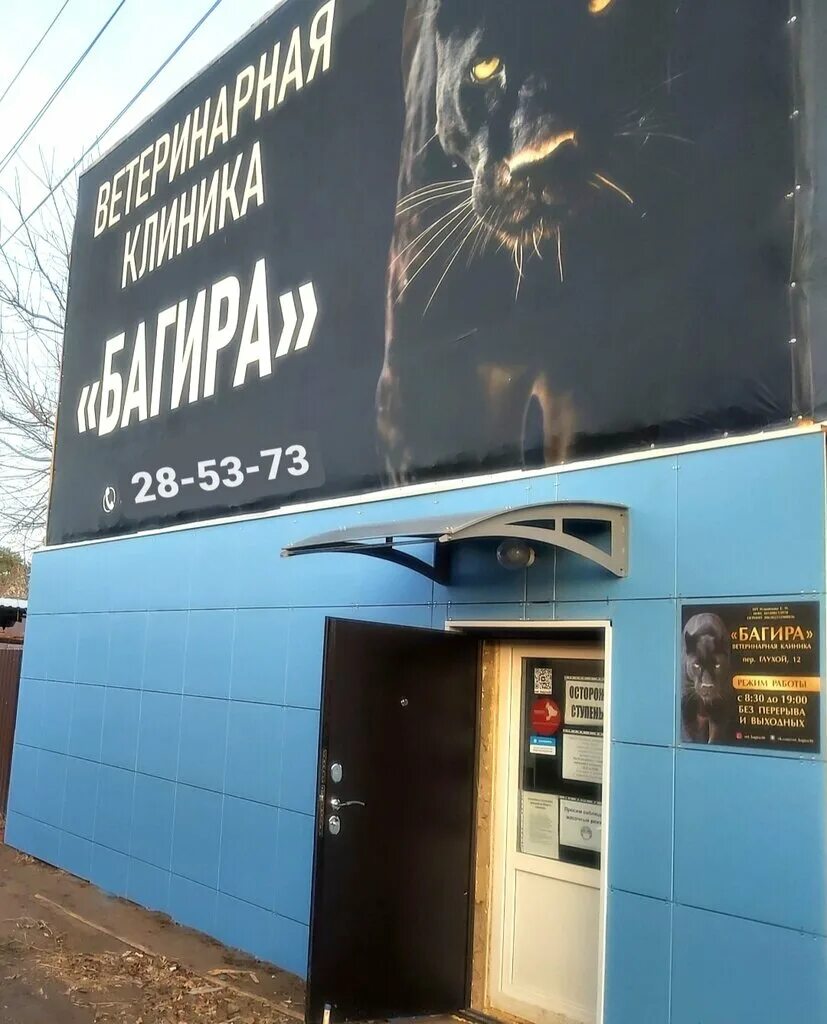 багира пенза ветклиника телефон