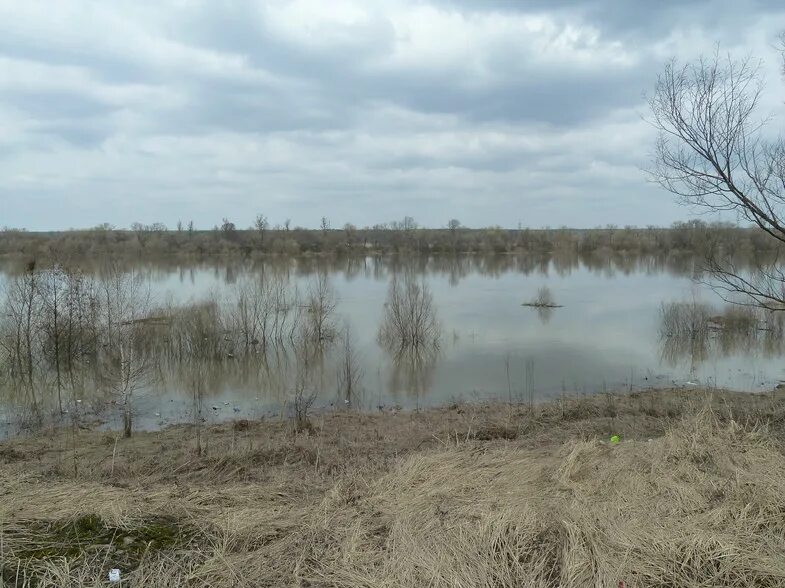 Уровень воды в реке ока горбатов. Река Ока Пущино разлив. Разлив Оки Серпухов. Река Ока Серпухов. Разлив на Оке Серпухов.