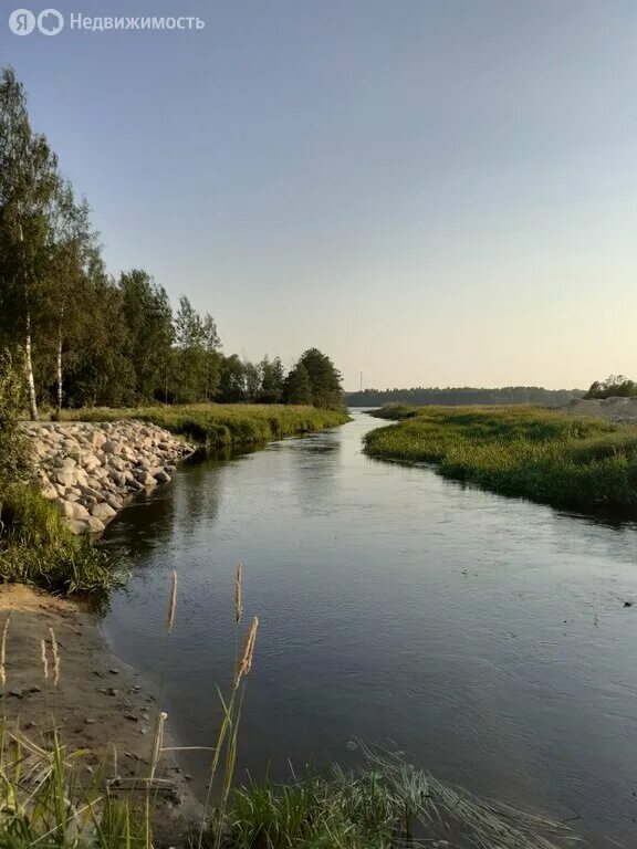 Деревня силино приозерский. Силино ленинградская область. Силино фото. Деревня красноозерное. Деревня силино приозерский.