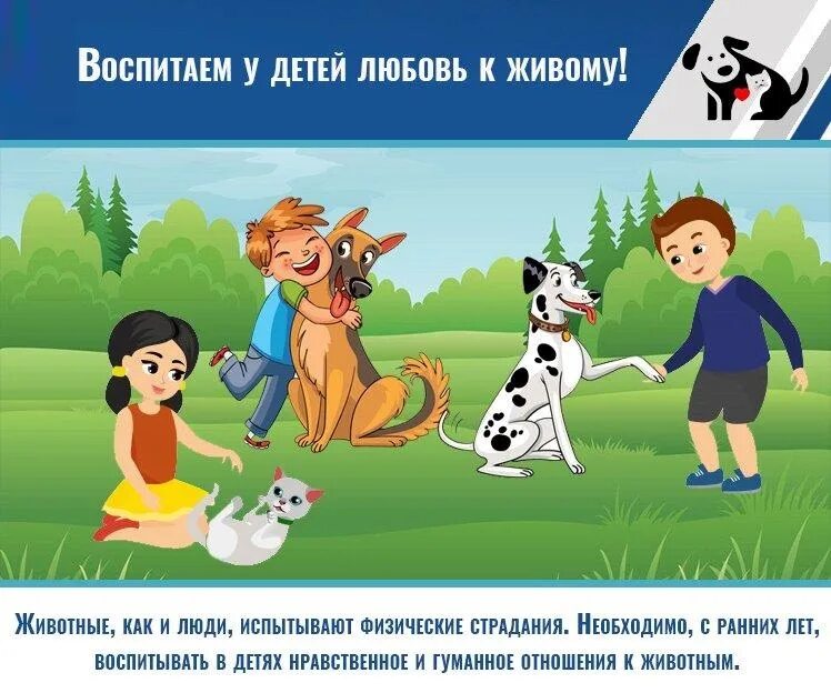 Гуманное поведение. Ответственное обращение с животными. Памятка об ответственном обращении с животными. Гуманное обращение с животными. Памятка по ответственному обращению с животными.